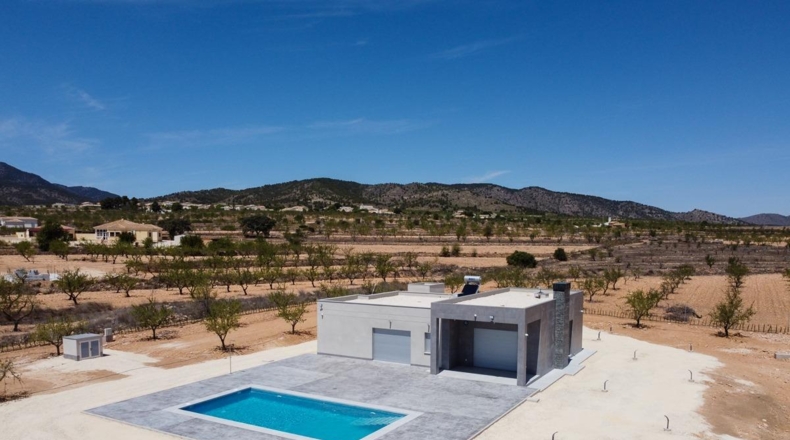 Alicante - Pinoso - 10000m2