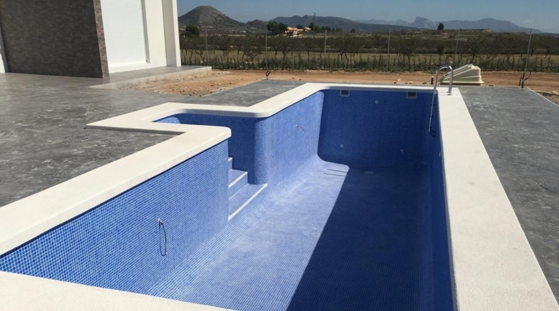 Alicante - Pinoso - 10000m2