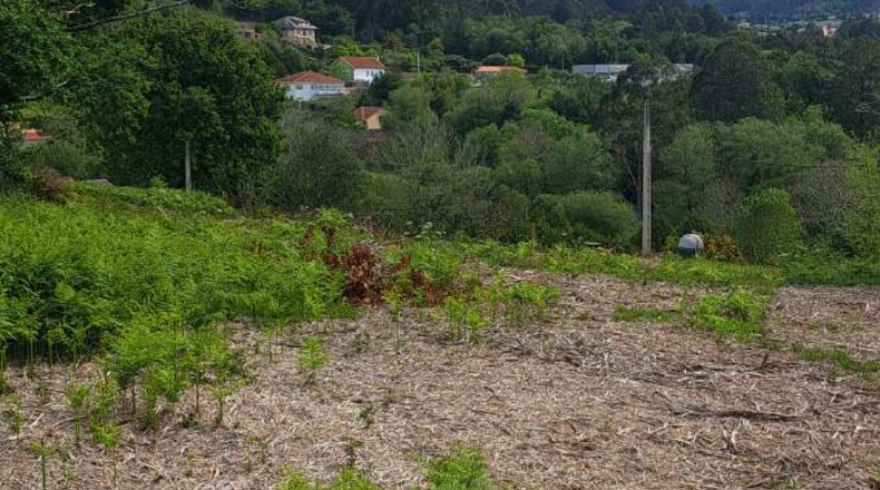 La Coruña - A Fraga de Fene - 1928m2