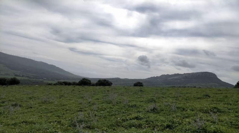 Cádiz - Tarifa - 732000m2