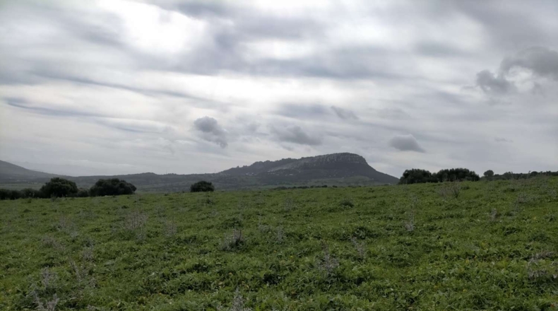 Cádiz - Tarifa - 732000m2