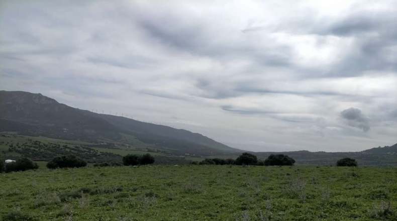 Cádiz - Tarifa - 732000m2