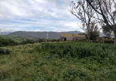 Terreny no urbanitzable en venda a Tarifa ref.: TR410117 foto