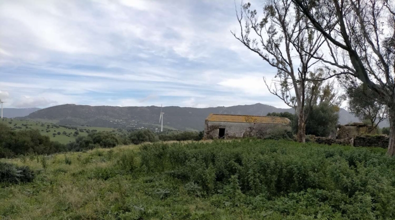 Cádiz - Tarifa - 732000m2