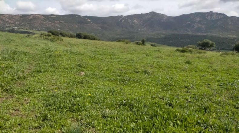 Cádiz - Tarifa - 732000m2