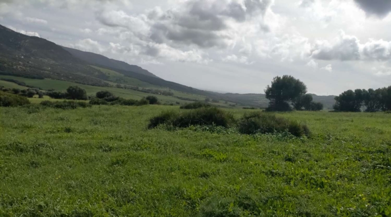 Cádiz - Tarifa - 732000m2