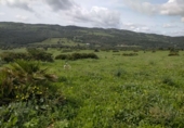 Terreny no urbanitzable en venda a Tarifa ref.: TR410117 foto