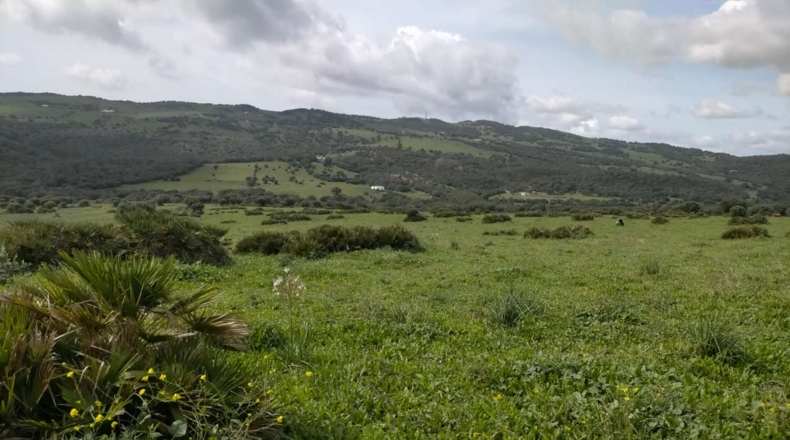 Cádiz - Tarifa - 732000m2