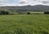 Terreny no urbanitzable en venda a Tarifa ref.: TR410117 foto