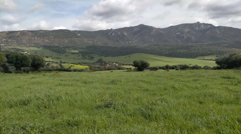 Cádiz - Tarifa - 732000m2