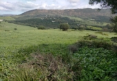 Terreny no urbanitzable en venda a Tarifa ref.: TR410117 foto