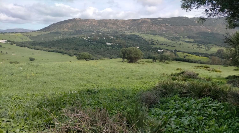 Cádiz - Tarifa - 732000m2
