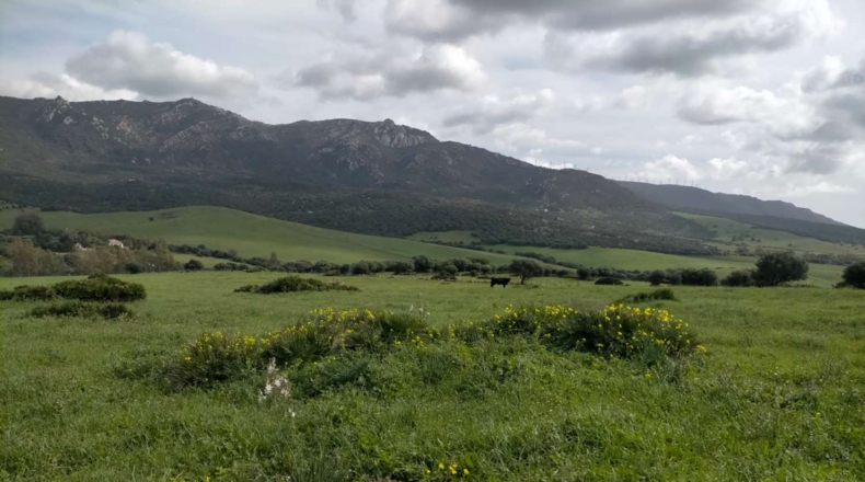 Cádiz - Tarifa - 732000m2
