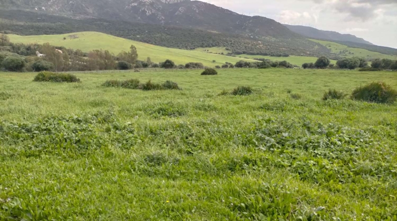 Cádiz - Tarifa - 732000m2