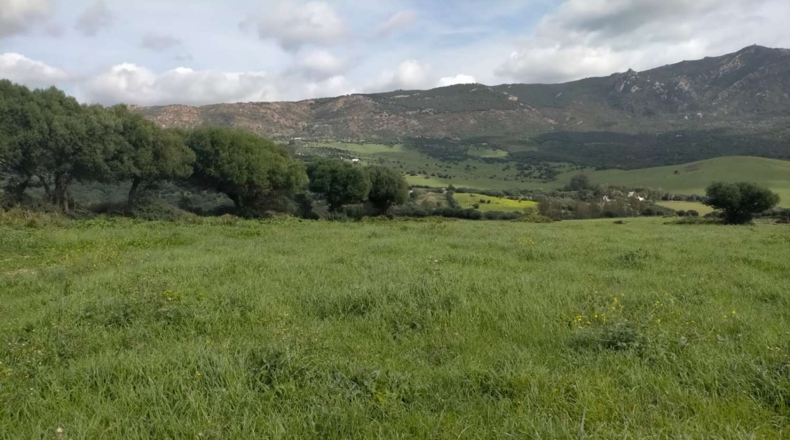 Cádiz - Tarifa - 732000m2