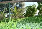 Casa de campo con terreno en venta en la Calle Iglesia, Zalamea la Real, ref: TR328266 foto