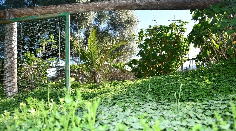 Huelva - Zalamea la Real - 117000000m2