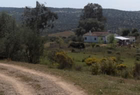 Zalamea la Real 117000000&nbsp;m² 