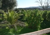 Casa de campo con terreno en venta en la Calle Iglesia, Zalamea la Real, ref: TR328266 foto