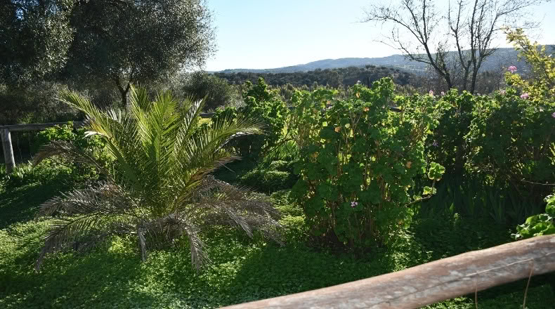 Huelva - Zalamea la Real - 117000000m2