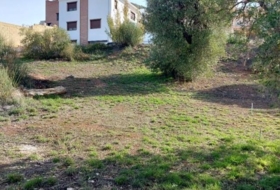 Nívar 450&nbsp;м²