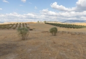 Non-developable land for sale on España, Villa de Otura, ref: TR410119 photo