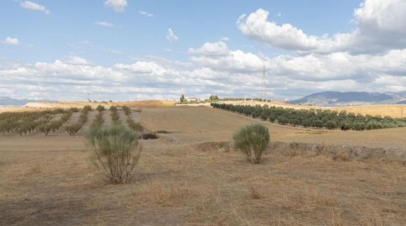 Granada - Villa de Otura - 28m2