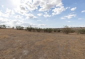 Non-developable land for sale on España, Villa de Otura, ref: TR410119 photo