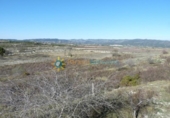 Загородный дом с участком на продажу в городе Castelló de Rugat Фото