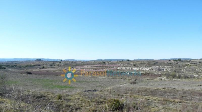 Valencia - Castellón de Rugat - 131737m2