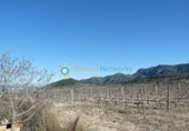 Загородный дом с участком на продажу в городе Castelló de Rugat Фото