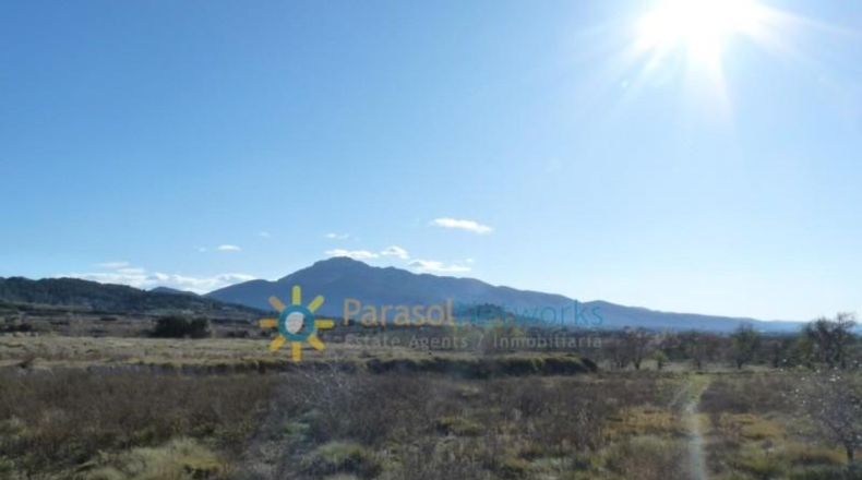 Valencia - Castellón de Rugat - 131737m2