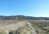 Загородный дом с участком на продажу в городе Castelló de Rugat Фото