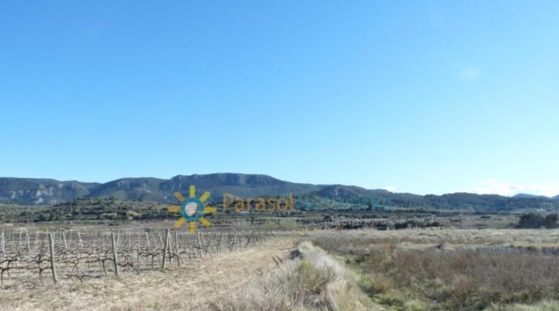 Valencia - Castellón de Rugat - 131737m2