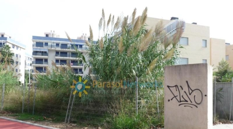 Valencia - Guardamar de la Safor - 698m2