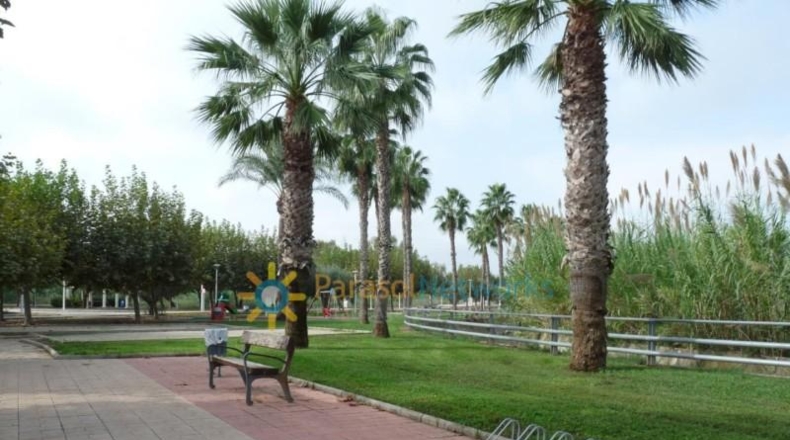 Valencia - Guardamar de la Safor - 698m2