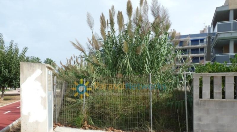 Valencia - Guardamar de la Safor - 698m2