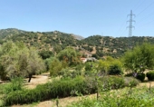 Casa de camp amb terreny en venda a la España, Estepona, ref.: TR383772 foto