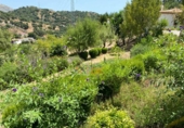 Casa de camp amb terreny en venda a la España, Estepona, ref.: TR383772 foto