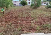 Suelo urbano en venta en la San Pedro nº 33, Santa Magdalena de Pulpis, ref: TR410148 foto