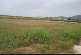 Puçol 1600&nbsp;m² 
