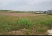 Terreno no urbanizable en venta en la Camí de l'Assegador, Puçol, ref: TR410150 foto