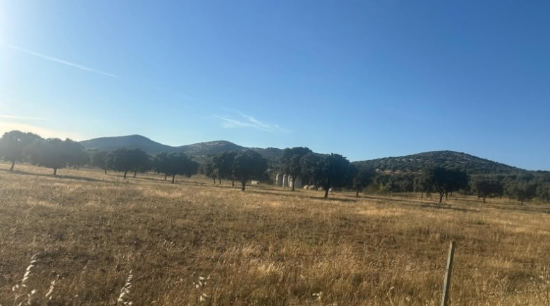 Ciudad Real - Malagón - 1000000m2