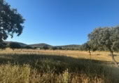 Chalet independiente con terreno en venta en la Ciudad Real, Malagón, ref: TR306959 foto