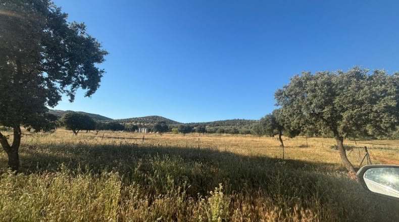 Ciudad Real - Malagón - 1000000m2
