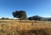 Chalet independiente con terreno en venta en la Ciudad Real, Malagón, ref: TR306959 foto