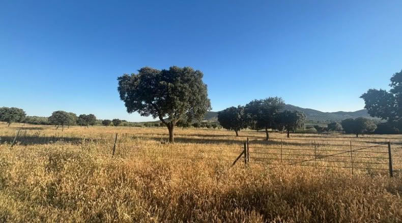 Ciudad Real - Malagón - 1000000m2
