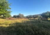 Chalet independiente con terreno en venta en la Ciudad Real, Malagón, ref: TR306959 foto