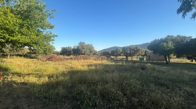 Ciudad Real - Malagón - 1000000m2