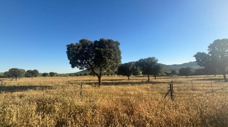 Ciudad Real - Malagón - 1000000m2